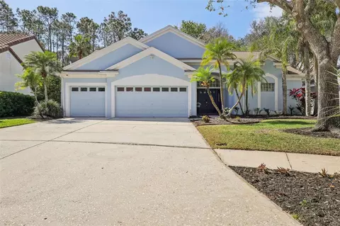 4442 Clairson Ct, Palm Harbor, FL 34685