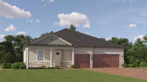 9623 Minnow Ray Dr, Land O Lakes, FL 34638