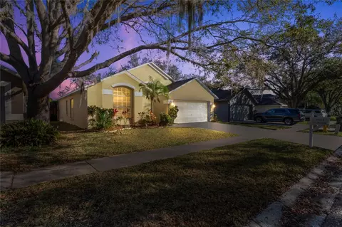 2524 Clareside Dr, Valrico, FL 33596