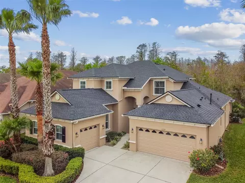 3339 Diamond Falls Cir, Land O Lakes, FL 34638