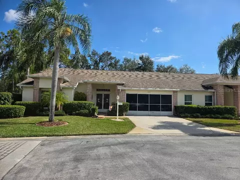 1236 Flora Vista St, Trinity, FL 34655