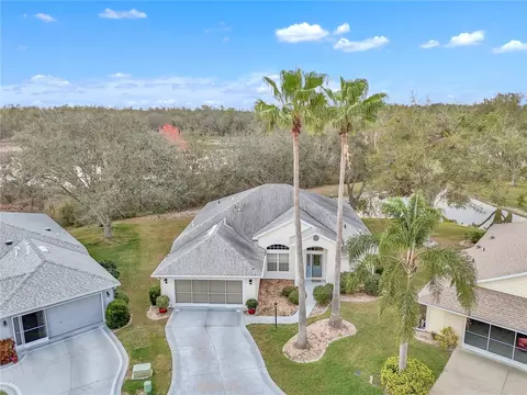 21505 Castle View Ct, Leesburg, FL 34748