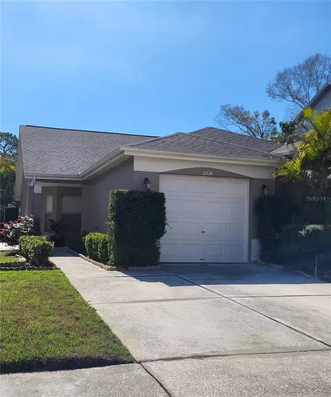 11638 Hidden Hollow Cir, Tampa, FL 33635