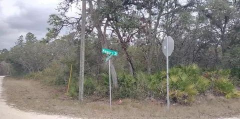 35161 Manuel St, Webster, FL 33597