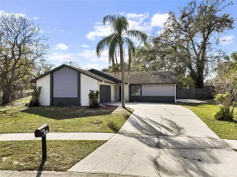3507 King George Ln, Seffner, FL 33584