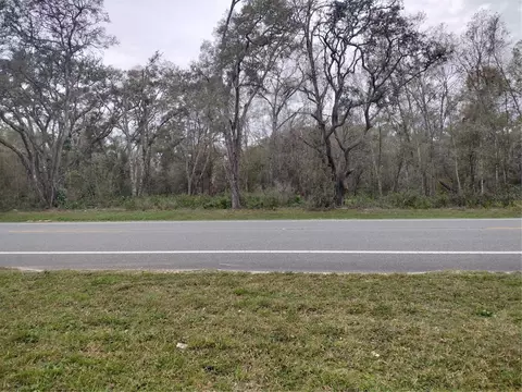 Treiman Boulevard, Webster, FL 33597