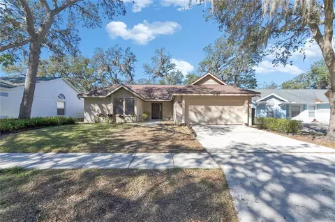 4127 Moreland Dr, Valrico, FL 33596