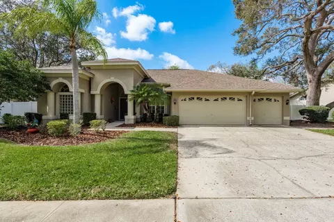 3321 Pattie Pl, Palm Harbor, FL 34685