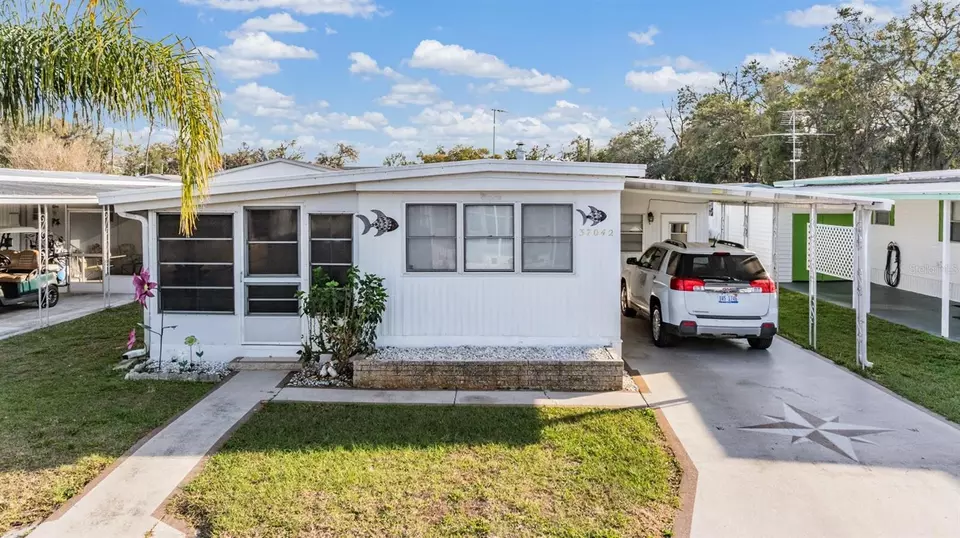  37042 Lois Ave, Zephyrhills, FL 33542 photo 5