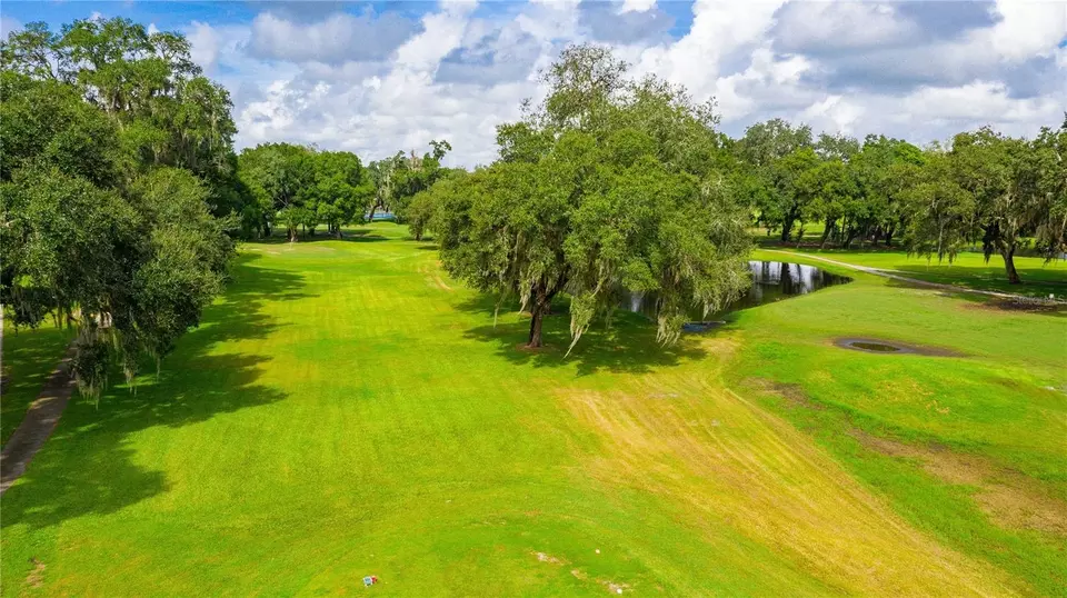  37042 Lois Ave, Zephyrhills, FL 33542 photo 40