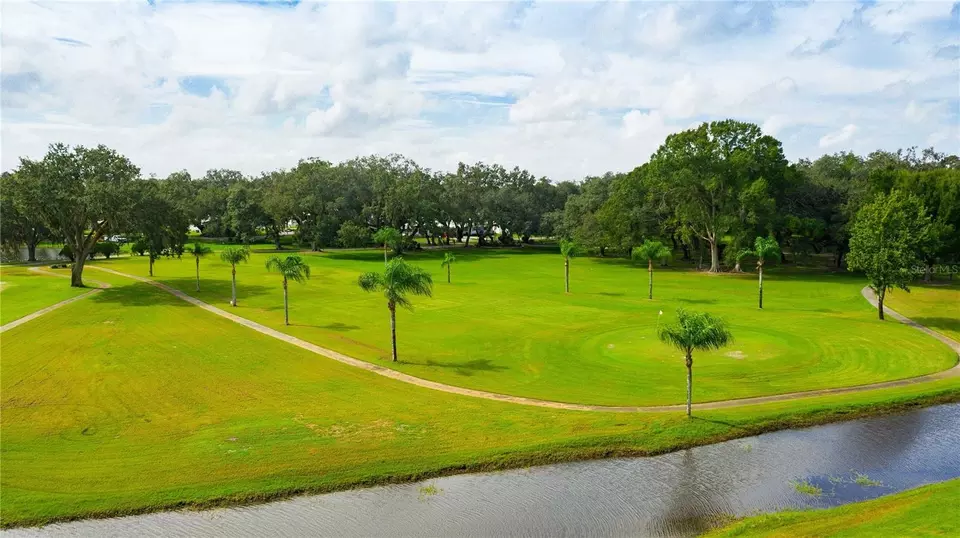  37042 Lois Ave, Zephyrhills, FL 33542 photo 41