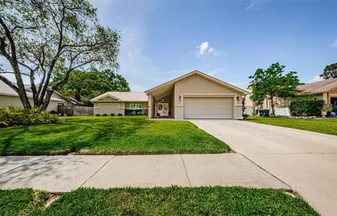 3350 Brian Rd N, Palm Harbor, FL 34685
