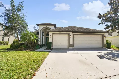 15721 Starling Water Dr, Lithia, FL 33547