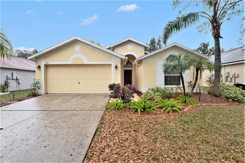 2611 Brookville Dr, Valrico, FL 33596
