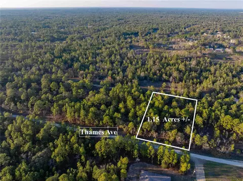 11465 Thames Ave, Weeki Wachee, FL 34614