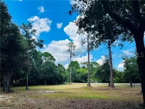 2530 N Mohawk Dr W, Avon Park, FL 33825