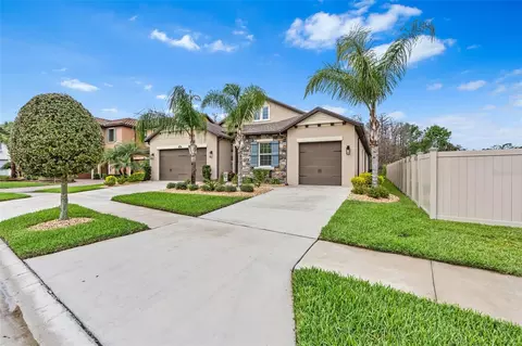 4495 Casella Dr, Wesley Chapel, FL 33543