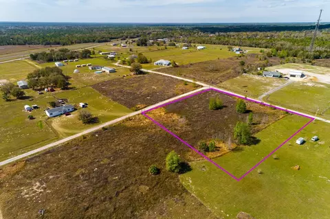 Sweet Peach Road, Brooksville, FL 34614