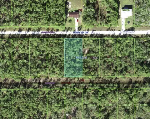 713 Hibiscus Dr, Indian Lake Estates, FL 33855