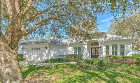 4614 River Overlook Dr, Valrico, FL 33596