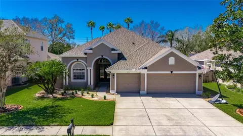 3537 Valencia Cove Ct, Land O Lakes, FL 34639
