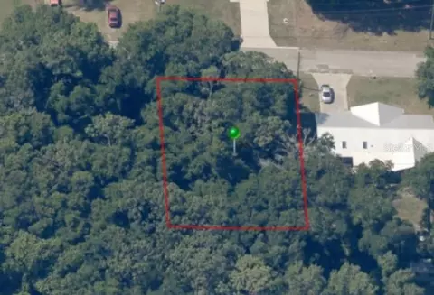 204 Adelphi St, Inverness, FL 34452 photo 8