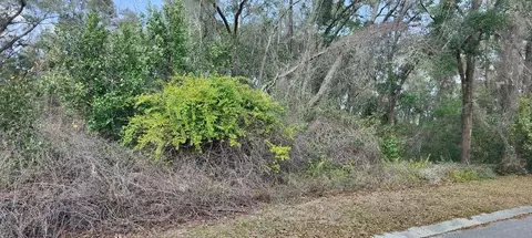 204 Adelphi St, Inverness, FL 34452 photo 5