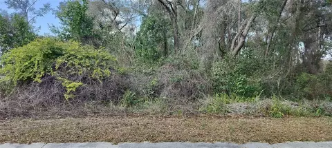 204 Adelphi St, Inverness, FL 34452