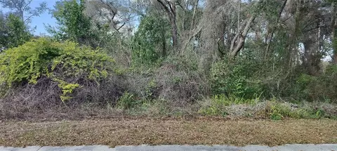 204 Adelphi St, Inverness, FL 34452 photo 6