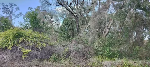 204 Adelphi St, Inverness, FL 34452 photo 7