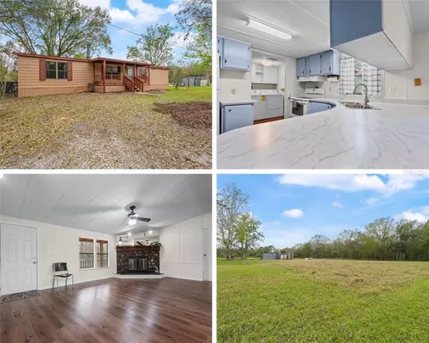 33518 Mandrake Rd, Zephyrhills, FL 33543