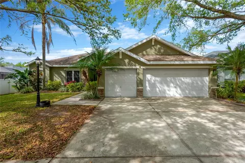 1166 Lumsden Trace Cir, Valrico, FL 33594
