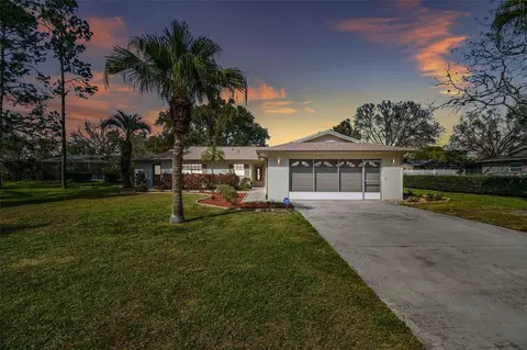 22017 Bass Pl, Land O Lakes, FL 34639