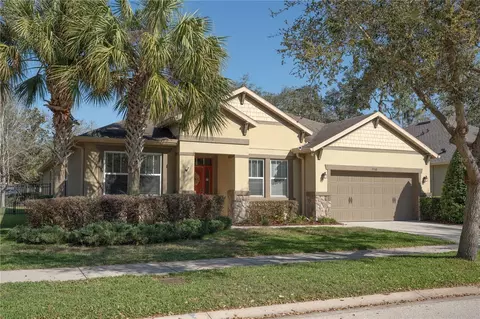 15740 Starling Water Dr, Lithia, FL 33547