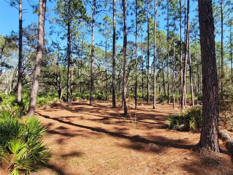 16442 Hardeman Jct, Weeki Wachee, FL 34614