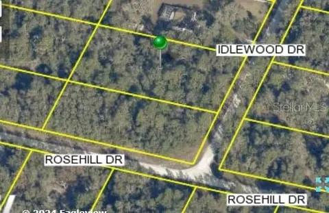 7319 Idlewood Dr, Webster, FL 33597