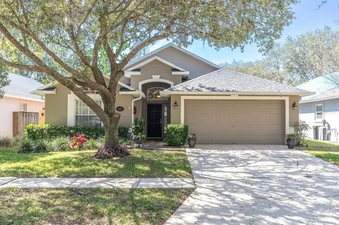 18908 Nest Fern Cir, Tampa, FL 33647