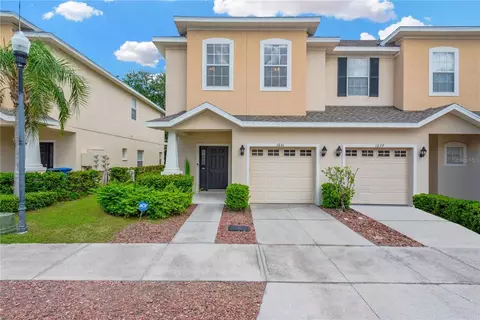 1041 Andrew Aviles Cir, Tampa, FL 33619
