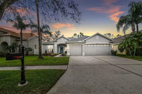 12037 Mountbatten Dr, Tampa, FL 33626