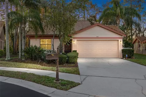 3612 Darston St, Palm Harbor, FL 34685