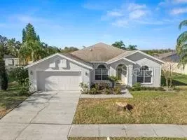 22516 Magnolia Trace Blvd, Lutz, FL 33549