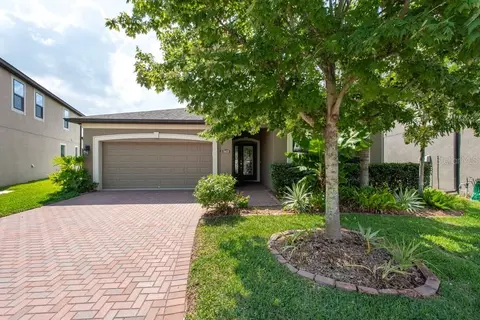 10428 Arbor Groves Pl, Riverview, FL 33578