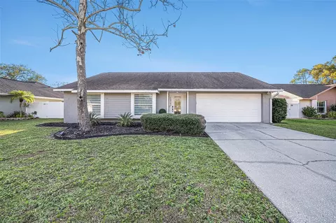 15742 Scrimshaw Dr, Tampa, FL 33624