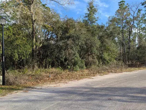 7 Coconut Ct, Homosassa, FL 34446