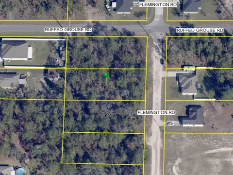 Flemington, Weeki Wachee, FL 34614