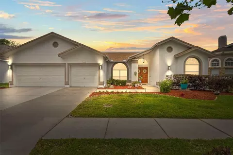 9408 Bluebird Dr, Tampa, FL 33647