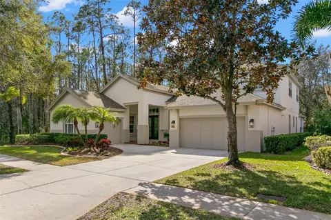 14841 Tudor Chase Dr, Tampa, FL 33626