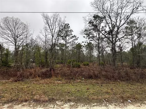 16419 Crane Rd, Weeki Wachee, FL 34614