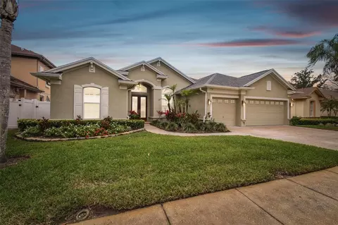 1204 Blackrush Dr, Tarpon Springs, FL 34689