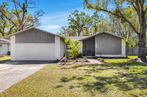 2425 Blind Pond Ave, Lutz, FL 33549